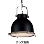 遠藤照明 ペンダント ランプ別売 無