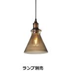 遠藤照明 ペンダント ランプ別売 無