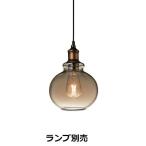 遠藤照明 ペンダント ランプ別売 無