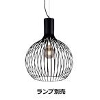 遠藤照明 ペンダント ランプ別売 無