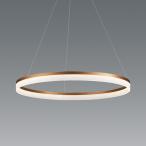 遠藤照明 ペンダント ERP7464KB 工事必