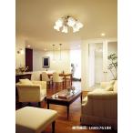 ショッピングシャンデリア パナソニック シャンデリア 電球色 LGB57618K【北海道・東北・九州送料別途】