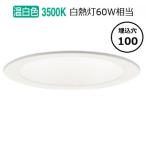 パナソニック ダウンライト  LSEB9531LE1(LGD1108VLE1相当品)工事必要