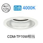 大光電機 ベースダウンライト LZD93348NWWE 工事必要