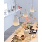 オーデリック ペンダント OP252575LR 電球色 高演色 白熱灯60W相当