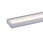 遠藤照明 ユニット(本体別売)RAD988LM 