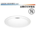 遠藤照明 ダウンライト SXD1062W 工事�