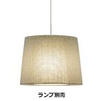 遠藤照明 ペンダント ランプ別売 無