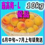 南高梅優品Ｌ-10kg、梅干・梅酒・他、有機肥料使用/和歌山県産青梅（緑から黄色になる）