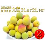 .. Wakayama префектура производство сырой . юг высота слива super товар 3Lor2L-2kg маринованные сливы * сливовое вино * др., иметь машина удобрение . body ... сделал синий слива * бесплатная доставка (4L размер. варьирование иметь )