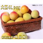 生熟 南高梅秀品4L-2kg梅干・梅酒・他、減農薬・有機肥料主体に施肥した紀州和歌山県産青梅 ・送料無料(3Lサイズのバリエーション有)