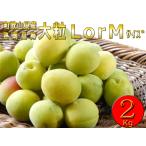 .. Wakayama префектура производство сырой . юг высота слива super товар LorM-2kg маринованные сливы * сливовое вино * др., иметь машина удобрение . body ... сделал синий слива *Y3980~ бесплатная доставка 