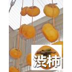 吊るし柿用渋柿加工用 T字枝or吊るしクリップ付 かつらぎ町大玉平タネ無約14.5〜15kg 約53〜80個 10月下旬〜11月上旬頃順次発送EDorCL14.5-15 送料無料