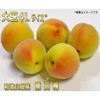 生熟 南高梅優品4L-2kg梅干・梅酒・他、有機肥料主体に施肥した紀州和歌山県産青梅 ・送料無料(M〜各サイズのバリエーション有)