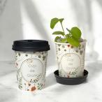  культивирование комплект cup . свечение Cup de grow ручная сумка OPP пакет имеется цветок садоводство вид семена культивирование комплект 