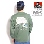 ベンデイビス Tシャツ 