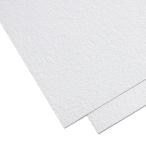  бумага парусина F8 номер 50 листов комплект [ живопись маслом живопись масляными красками . can панель для ванны ]