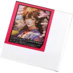 [ почтовая доставка возможно ] стрейч парусина квадратное SSM средний глаз 1 листов хлопок ....[ обивка парусина живопись масляными красками акрил акварель 4 угол ]