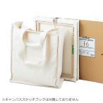 キャンバスショルダーバッグ Ｆ6 【 バッグ えのぐ 収納 不織布 画材 かばん 】