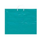 パネル用 手提袋 ブルーグリーン Ｂ3判用 【 バッグ えのぐ 収納 不織布 画材 かばん 】