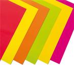 ���饵�� �ָ����� ���ˡ����顼 B4Ƚ 6���� 6���� ������ 257��360mm PB406-4 �����