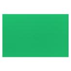 プラスチック 段ボール 緑 【 工作 段ボール プラスチック プラ段 】