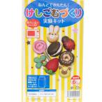 [ メール便可 ] ねんどでかんたん！ けしごむづくり 実験キット 【 夏休み 簡単 消しゴム 粘土 けしごむ 消しごむ 】