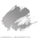 U-35 イリデッセントシルバー 20ml 1本 870 ターナー ACRYLICS アクリル絵具 [ メール便可 ]