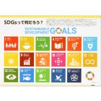 SDGs¤Ã¤Æ²¿¤À¤í¤¦¡© ¥Ý¥¹¥¿¡¼ÈÇ 1¥»¥Ã¥È 5ËçÁÈ B2¥µ¥¤¥º 515¡ß728mm SDGs ¥Ý¥¹¥¿¡¼ B2