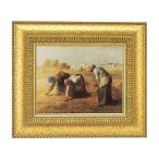 �㤪�����ʡ� ʣ�����潦�� �ߥ졼�� F6 �� �վ� ��ץꥫ ̾�� �������� �Х�ӥ��� ���� ��¯�� ��