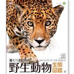 野生動物 生体図鑑 日東書院本社 小菅正夫著 書籍 【 本 ずかん 図鑑 生き物図鑑 動物図鑑 動物 ギフト プレゼント 】