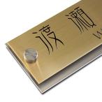 表札 ステンレス サイズは2種( 150mm幅 200mm幅 ) 取付簡単 ビス付き(平滑面は強力両面テープで取付可能) ゴールドステンレス おしゃれ 戸建て TSG-10S