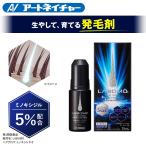 第1類医薬品 アートネイチャー 発毛剤 育毛剤 発毛促進 男性用 AGA ミノキシジル 5% 72mL 1本 抜け毛 予防 LABOMO ラボモ ヘアグロウ ミノキシ5 ネオ