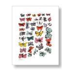 ¥¢¥ó¥Ç¥£¡¦¥¦¥©¡¼¥Û¥ë¡§¥Ð¥¿¥Õ¥é¥¤¡¡Andy Warhol: Butterflies, 1955 (many/varied colors) ¥¢¡¼¥È¥Ý¥¹¥¿¡¼