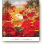 【出荷区分D】ルーカス・サンティーニ Lucas Santini:　Meadow Poppies III【アートポスター】