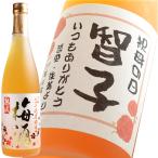 プレゼント ギフト 名入れ 梅酒 オリジナルデザインラベルの梅酒 高千穂 熟成梅酒 720ml 14度 結婚祝い 誕生日 母の日 彫刻