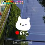 ドラレコ ステッカー 猫 ねこ ネコ おしゃれ シンプル ドライブレコーダー ステッカー かわいい かっこいい 録画中 前後 カメラ 防犯 あおり運転対策 B