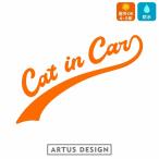 CAT IN CAR стикер / кошка in машина кошка машина симпатичный модный симпатичный California 