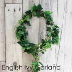  человеческий труд декоративное растение искусственный цветок / крыло lishu ivy Galland дезодорация Galland всесезонный ivy Galland CT катализатор ( нет фотокаталитический ) обработанный .