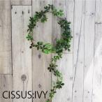 si подвеска ivy (shuga- Vine )shuga- сосна Galland популярный shuga- Vine дезодорация катализатор обработка CT катализатор ( нет фотокаталитический ) обработанный .