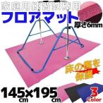 鉄棒 室内 屋内 子供用鉄棒 マット【 キズ防止 振動 防音 防止 振動 防音 フロアマット 子供 鉄棒用マット コンパクト 逆上がりできる鉄棒 ギフト プレゼント】