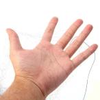 6x2m. птица. предотвращение сеть произведение предмет. растения. дерево двор 