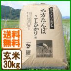 コシヒカリ 玄米 30kg こうのとり米 令和3年産 送料無料 兵庫県産