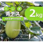 商品画像2