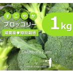 | купон иметь | брокколи пестициды 90% cut специальный культивирование [1kg]