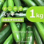 ズッキーニ 農薬90％カット 特別栽培【1kg】