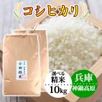 ショッピング米 新米 お米 10kg（5kg×2袋）無洗米 白米 7分づき 5分づき 3分づき 1分づき コシヒカリ 農家直送 令和7年産 小田根米 兵庫県産 送料無料 ＼クーポン有／