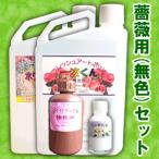 | купон иметь | [ роза для ( нет цвет ) комплект ] роза для один жидкость kun консервированный цветок жидкость сохранять жидкость обработка жидкость бесплатная доставка 