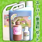 液 プリザーブドフラワー 通販 価格比較 価格 Com