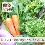 \クーポン有/ 母の日 野菜セット 詰め合わせ お試し ごちそう野菜 農薬不使用 特別栽培 訳あり 不揃い 送料無料 楽農や
